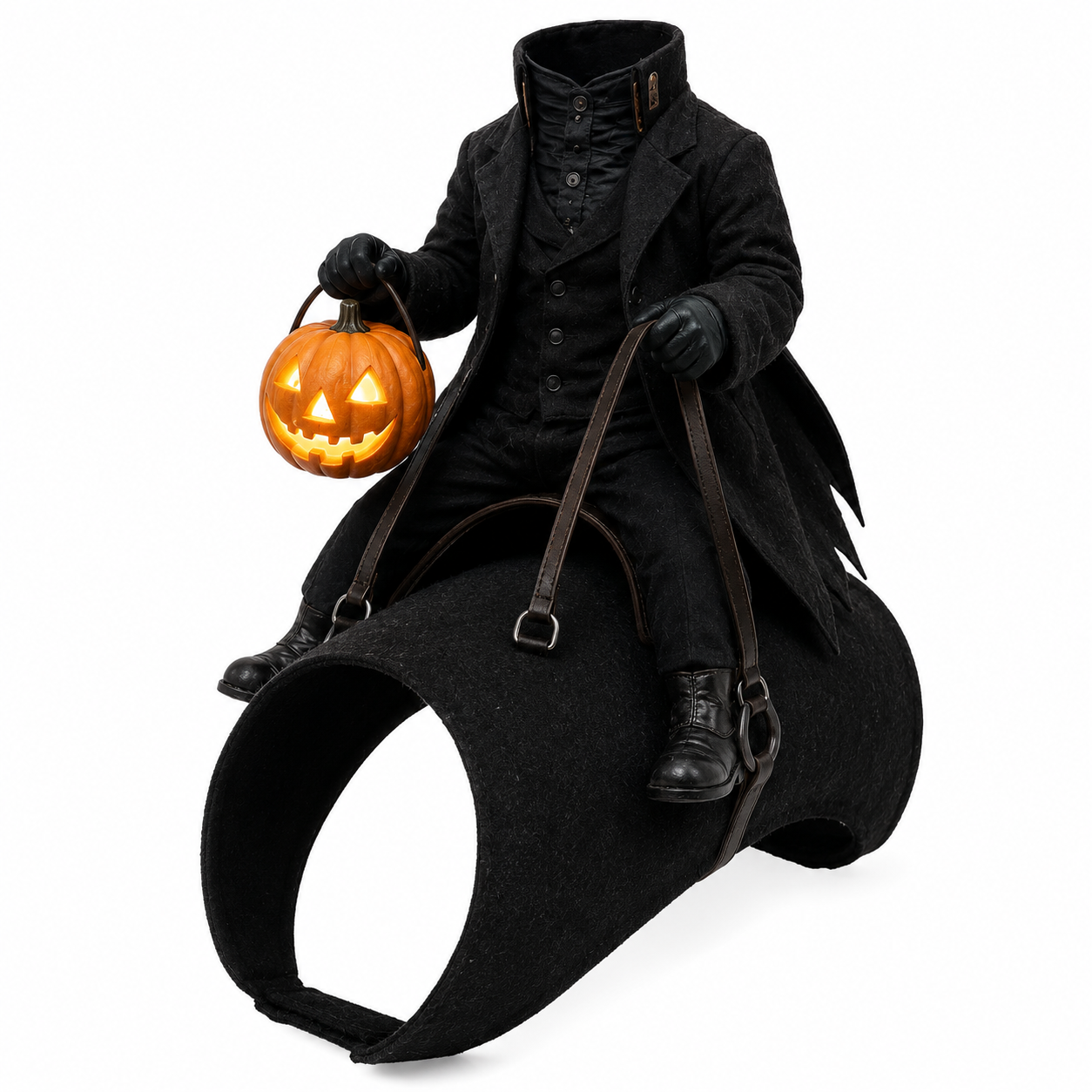 ✈️Last Day 50% OFF✨⏳ Last Day 49% OFF – 😂Funny Pet Rider Costume Collection