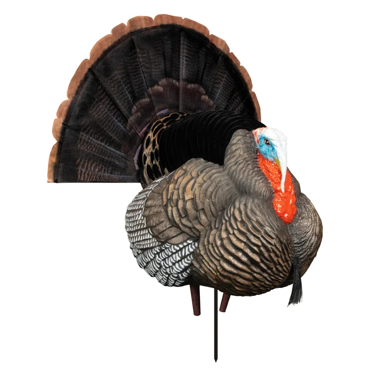 🔥Hunting season Promotion 43% OFF—🦃Ultra-Realistic Collapsible Full-Strut Turkey Decoy with Stake & Carry Bag